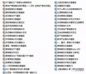 營銷策劃 聚焦顧客價值，驅動持續增長